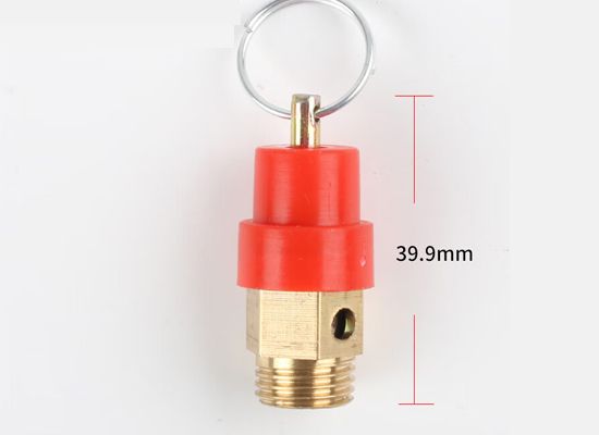 Spring Loaded Safety Valve