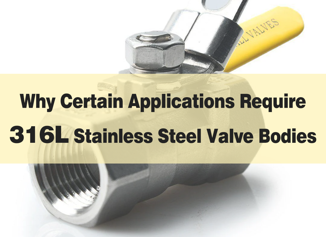 Why Certain Applications Require 316L Stainless Steel Valve Bodies