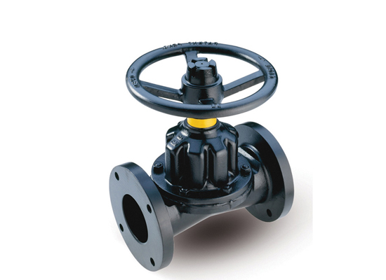 What is special about diaphragm valves compared to ordinary valves