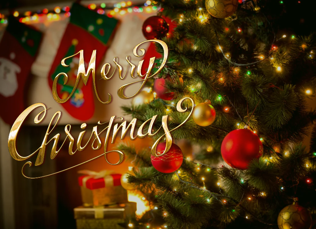 Merry Christmas and Happy New Year 2025